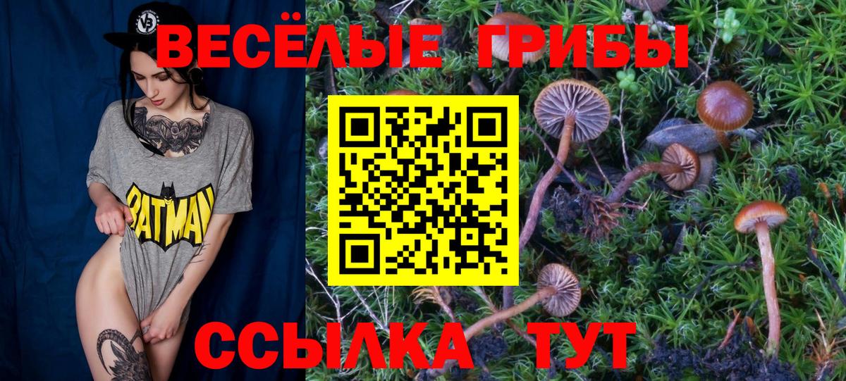 Псилоцибиновые грибы прущие грибы  Вход с VPN  закладки  Тверь 